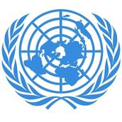 Picture of United Nations' logo is used on https://www.market-connections.net Home Page